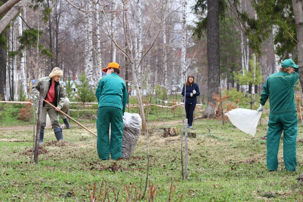 ������� ��������CAMC7489.jpg